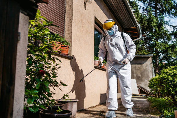 Best Pest Removal Services  in Rantoul, IL