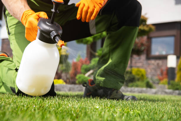 Best Pest Control Cost  in Rantoul, IL