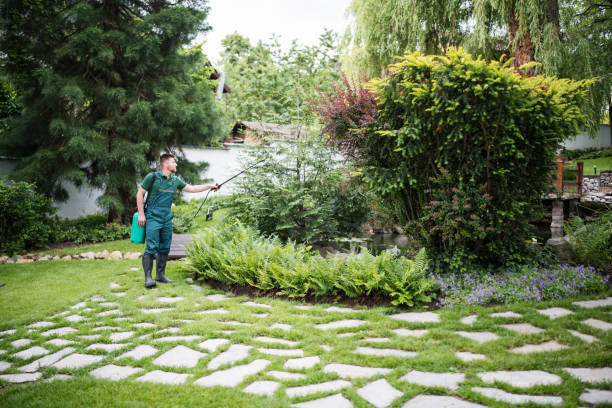 Best Pest Control Treatment  in Rantoul, IL