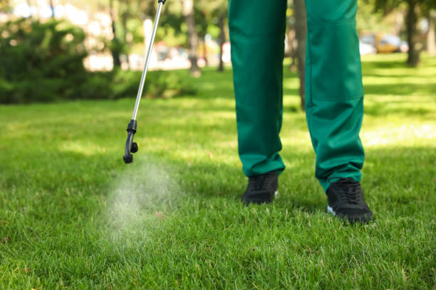 Best Wasp Removal Services  in Rantoul, IL