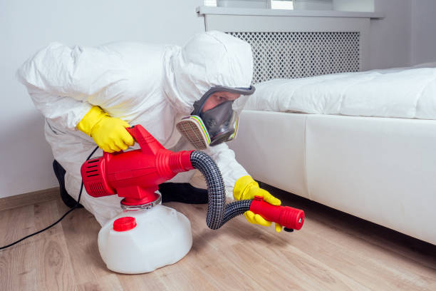 Best Emergency Pest Control  in Rantoul, IL