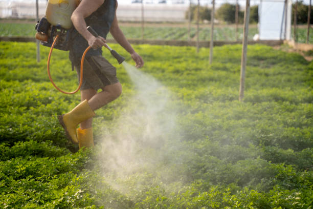 Best Commercial Pest Control Services  in Rantoul, IL