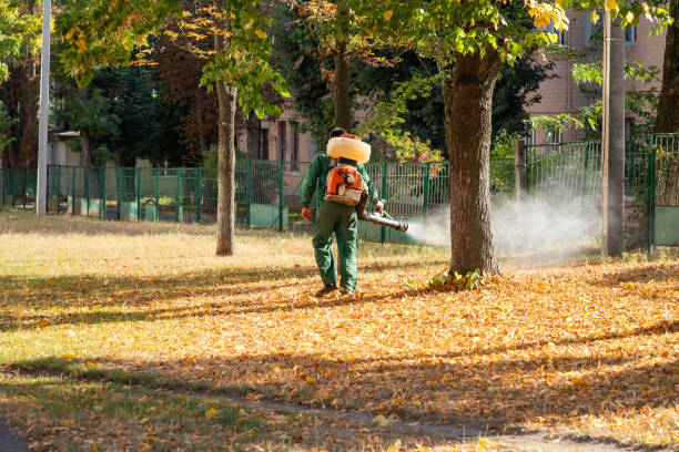 Best Wasp Removal Services  in Rantoul, IL