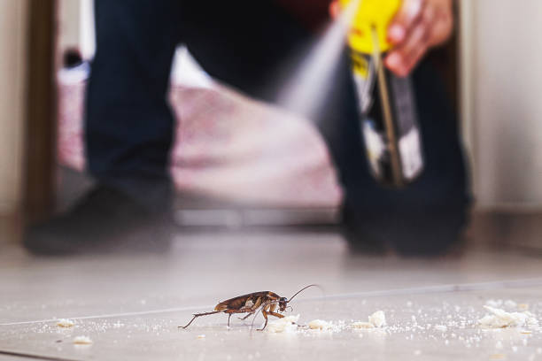 Rantoul, IL Pest Control Company