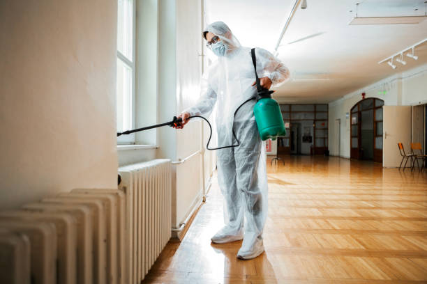 Best Mosquito Control Services  in Rantoul, IL